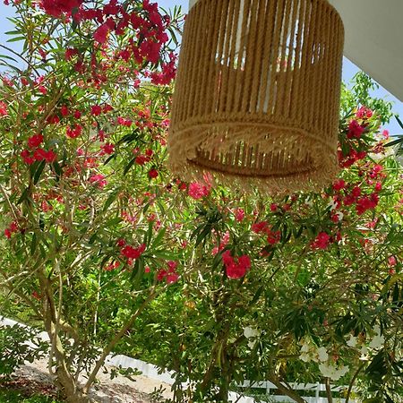 Aktipis Studios Argassi Dış mekan fotoğraf